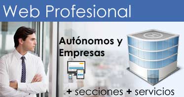 Página web profesional